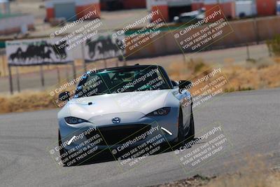 media/Mar-08-2025-Extreme Speed (Sat) [[4abb97269e]]/Blue/Turns 2  and  4 (Session 2)/